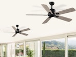 two ceiling fans in a room with windows