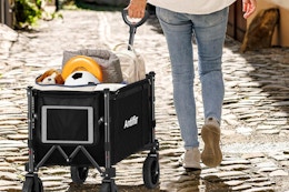 Top-Rated Collapsible Wagon Cart, Just $50.99 on Amazon (Reg. $100) card image