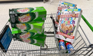 publix shopping haul 2023 sv 1678985973 1678985973