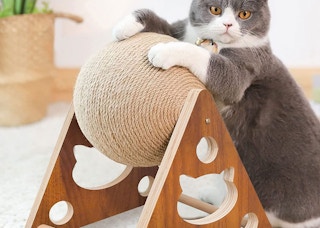 amazon cat scratcherjpg 1683056166 1683056166