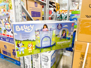 sams-club-clearance-5