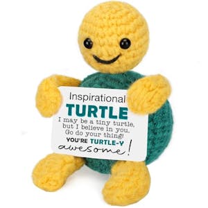Inspirational Crochet Turtle Decor