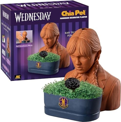 Wednesday Planter