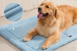 Dog bed pad B0F6J7BH7F