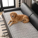 Couch Cover