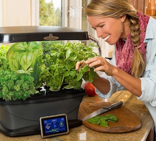 amazon aerogarden harvest 1553176257