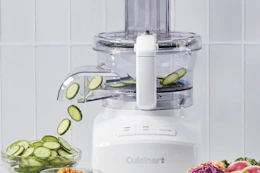 cuisinart food processor