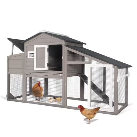 Chicken Coop With Run