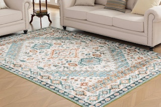 Area rug in living room