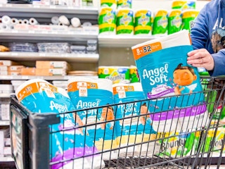 publix-angel-soft-toilet-paper-1