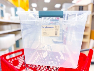 brightroom-storage-totes-target2