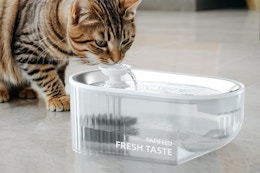 Highly Rated Cat Water Fountain, Only $15.99 With Amazon Coupon card image