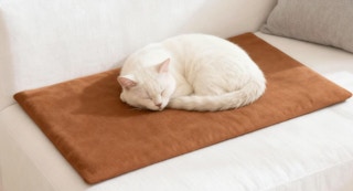 a cat laying on a heating pad