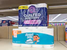 angel soft and quilted northern toilet paper packs on walgreens shelf