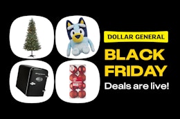 Dollar General Black Friday Is On — And We Picked the Top Deals card image