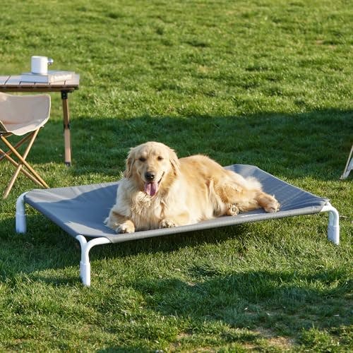 Elevated Dog Cot Bed