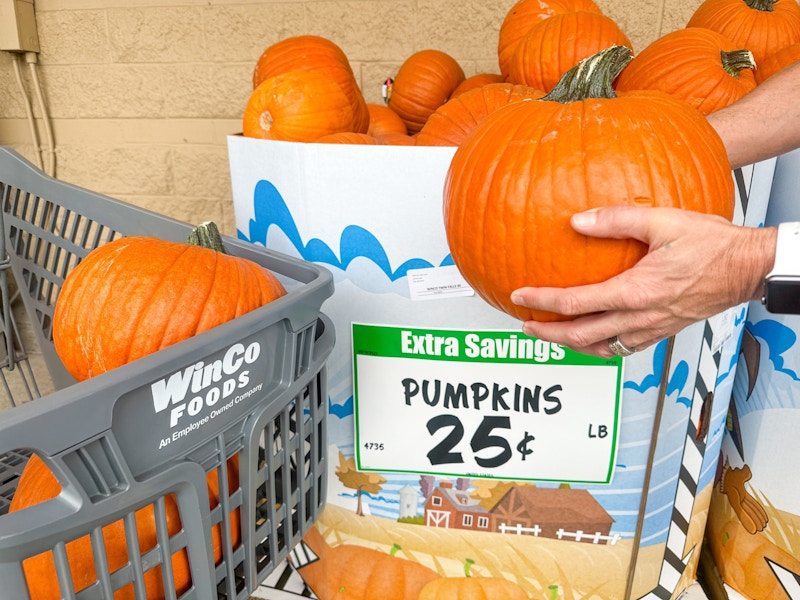 winco-pumpkins-kcl-3