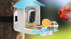 a bird flying to a smart bird feeder