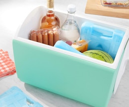 Amazon Basics 4-Count Ice Packs, Just $10.49 on Amazon card image