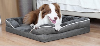 screen shot 2023 06 07 at 102059 am 1686151278 1686151278