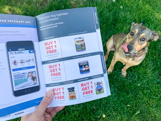 someone holding Petsmart coupons in front of a dog