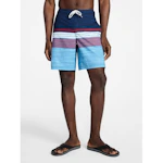 George Men's E-Board Swim Trunks
