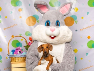 Courtesy of PetSmart | Facebook