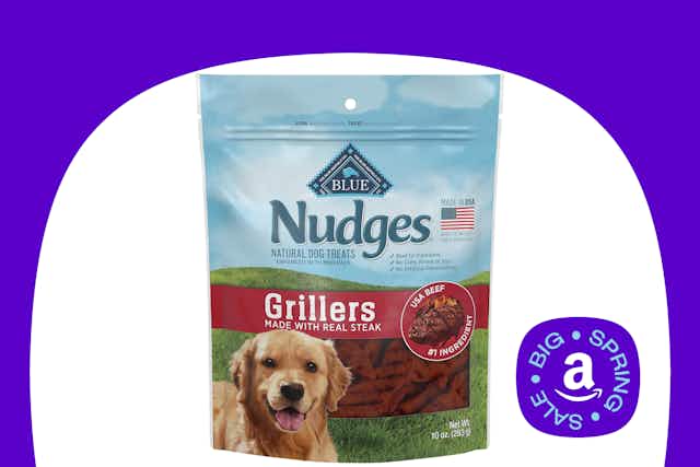 Blue Buffalo Nudges Dog Treats, as Low as $5.39 on Amazon (Reg. $11.49) card image