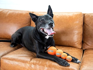 amazon outward hound balls 2023 1 1675172429 1675172429