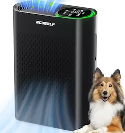 Air Purifier