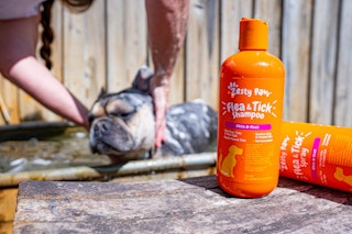 zesty-paws-flea-and-tick-spray-shampoo-for-dogs-editorial-kcl-7