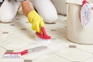 scrub brush set