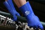 rubber gloves being worn near a farm