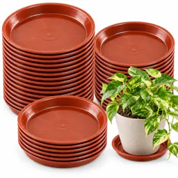 Plant Saucer 30-Pack