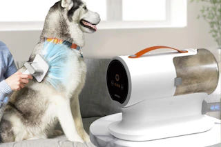 dog being groomed by owner