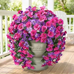 Artificial Hibiscus Hanging Flowers 2-Pack