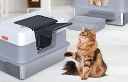 Stainless Steel Enclosed Litter Box, Just $49.49 on Amazon card image