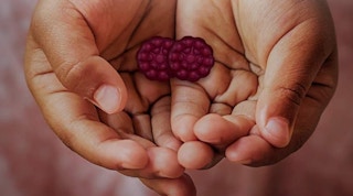 Flintstones Kids Elderberry Gummies