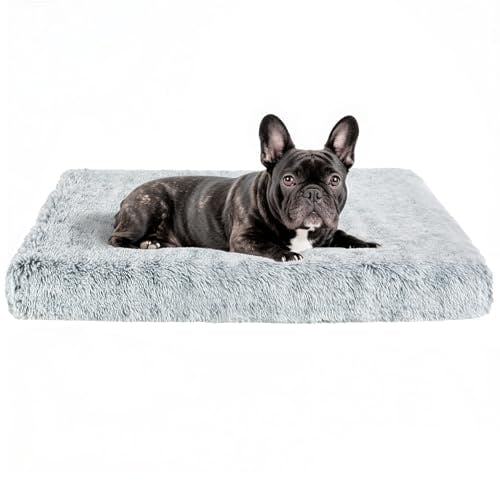 Orthopedic Dog Bed