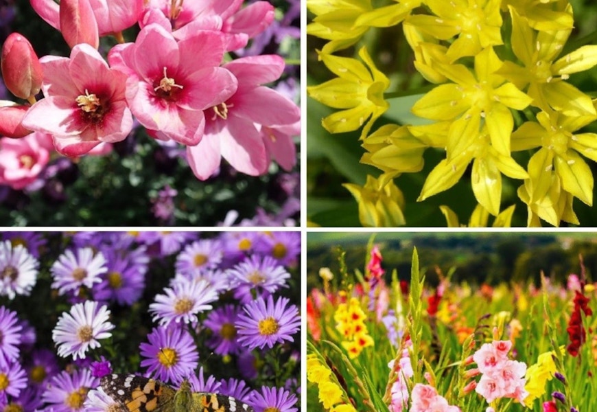 untilgone flowers 2