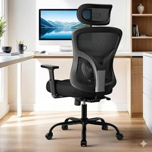 Ergonomic Office Chair