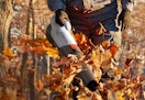target leaf blower
