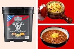 84-Serving Survival Food Bucket, Now $60 at Walmart (Reg. $220) card image