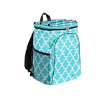 Insulated Cooler Backpack
