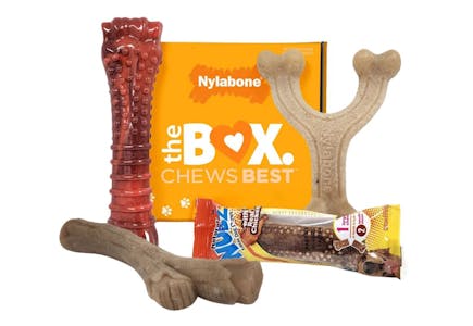 Nylabone Box