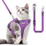 Cat Harness and Leash