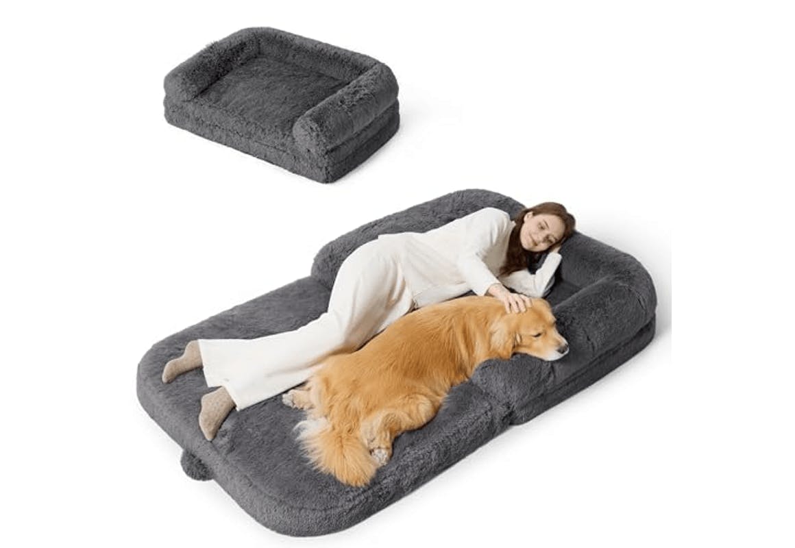 Bedsure 2-in-1 Human Dog Bed