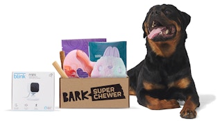 blink camera gwp lifestyle image 1200x1200 1632149991 1632149991 e1632150040421