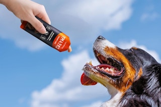 a woman feeding a dog treats