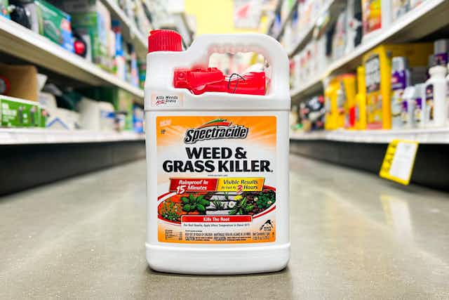 Spectracide 1-Gallon Weed and Grass Killer, Now $6.24 on Amazon card image